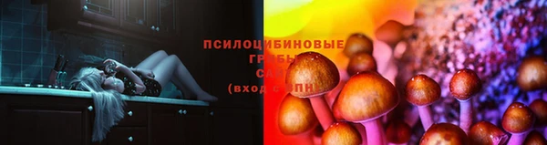 ECSTASY Дмитриев