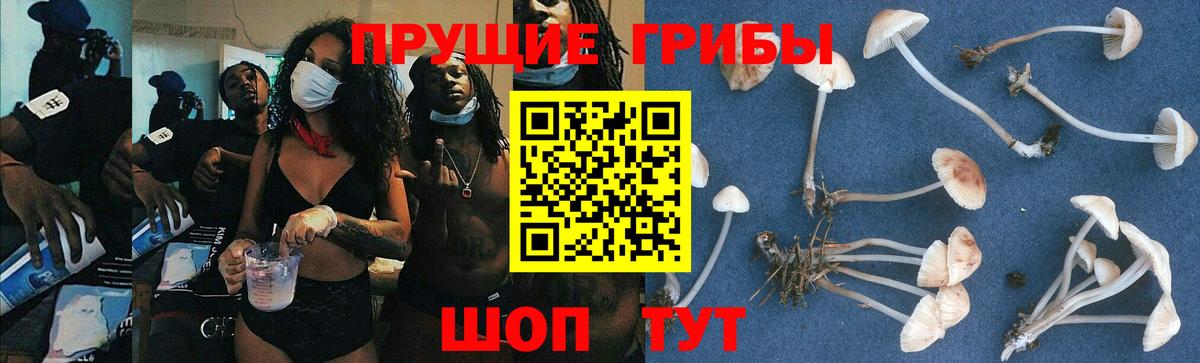 Кизилюрт  Галлюциногенные грибы Magic Shrooms  Вход с VPN 